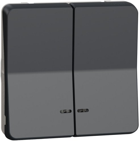 Выключатель самовозвратный с подсветкой без рамки Schneider Electric Mureva Styl 2-кл. IP55 антрацит картинка